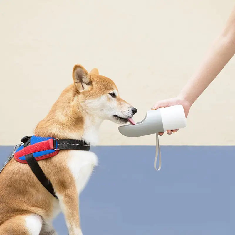 Portable Multi-Function Pet Travel Cup for Water/Food