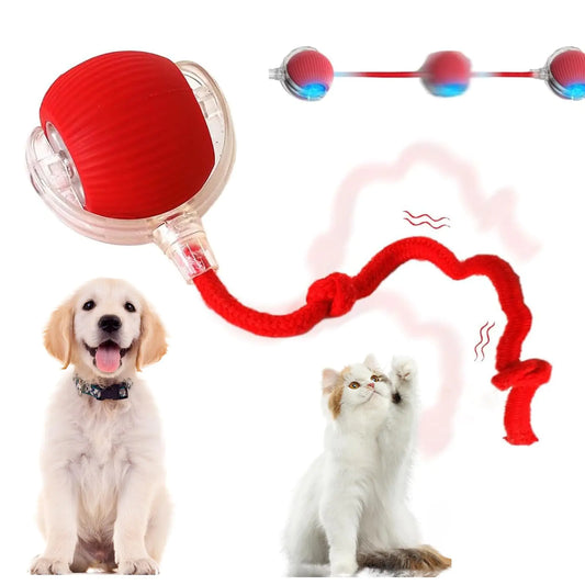 Smart Interactive Cat&Dog Electric Ball for Indoor Pets.