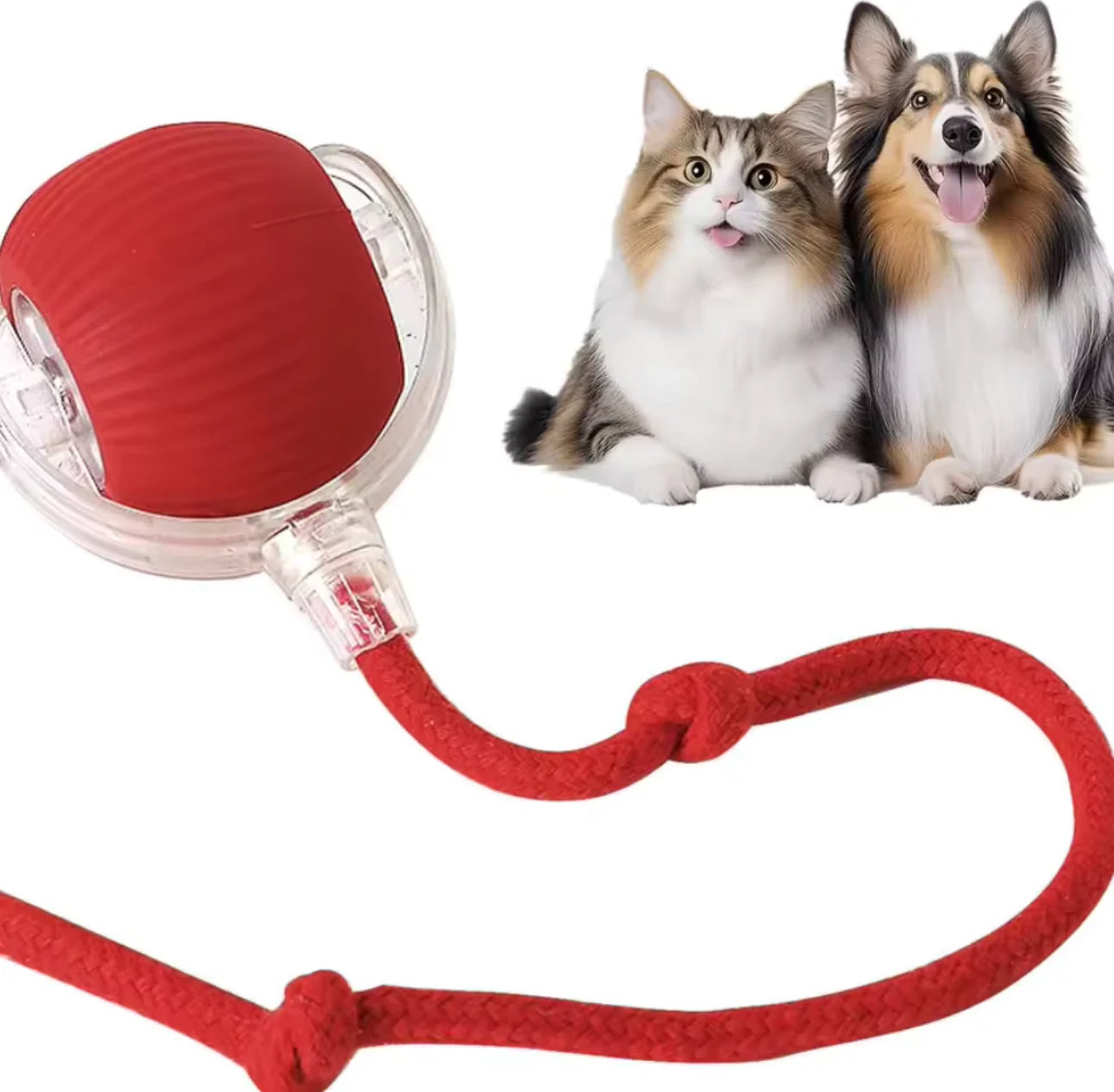 Smart Interactive Cat&Dog Electric Ball for Indoor Pets.