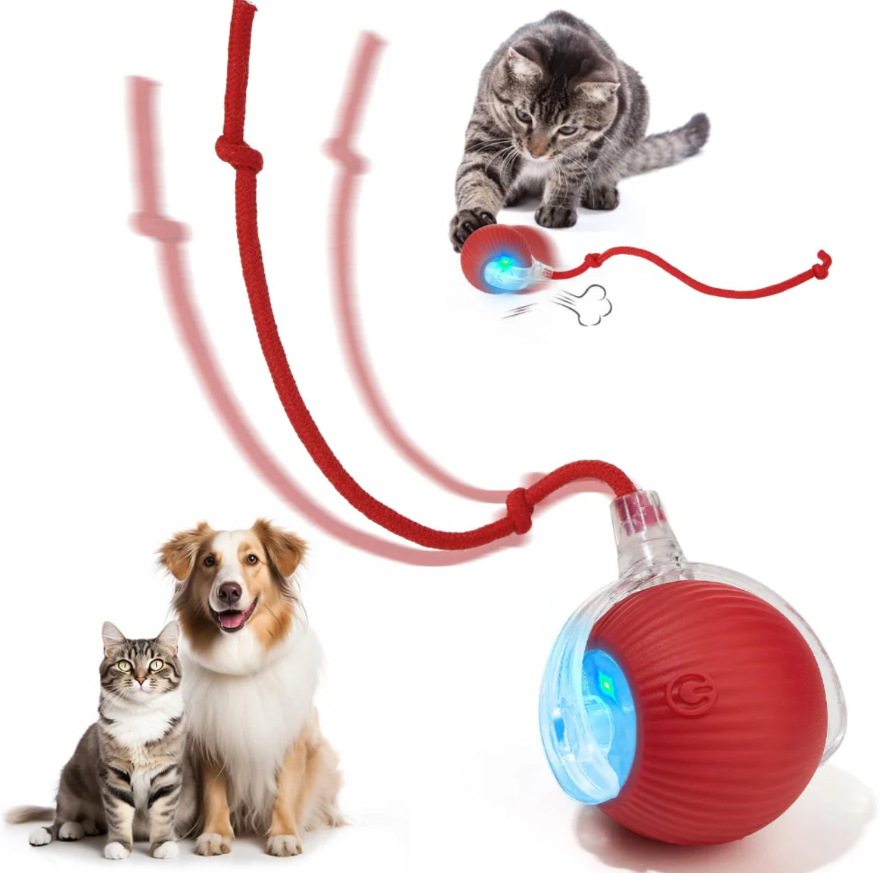 Smart Interactive Cat&Dog Electric Ball for Indoor Pets.