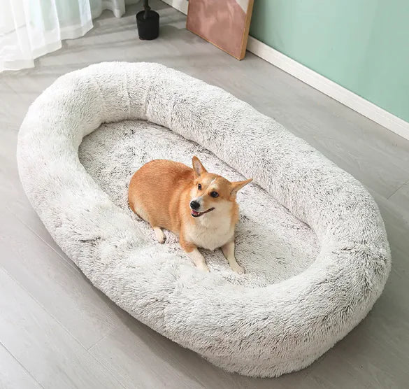 Human Sized Washable Dog Bed